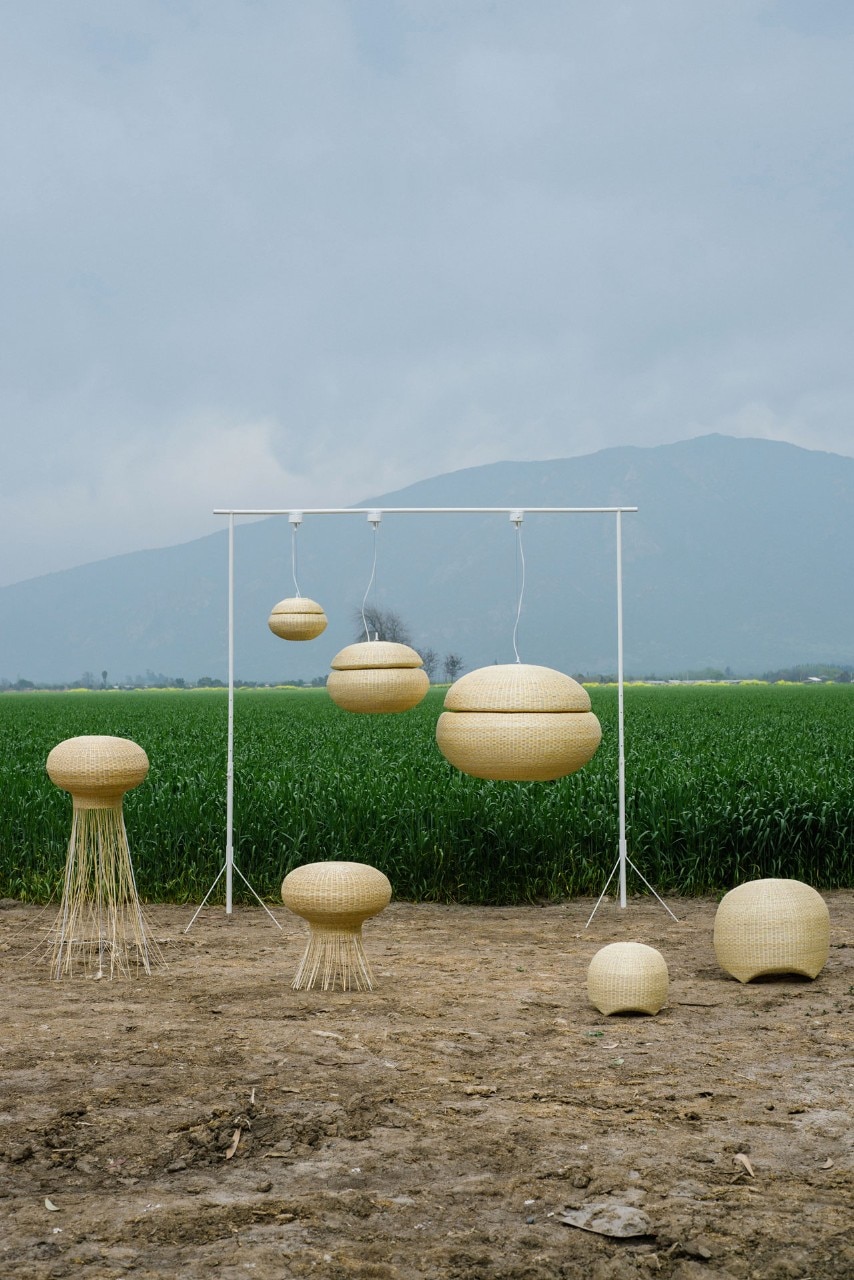 Medusa, Chinita and Bellota lamps for Made in Mimbre by The Andes House