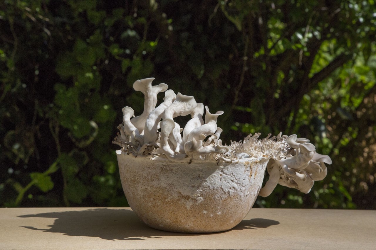 Maurizio Montalti / Officina-Corpuscoli: cesto mycelium – growing objects
