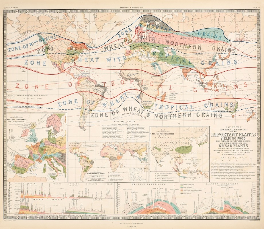  Mappa di distribuzione delle principali piantumazioni mondiali, Yielding Food. Keith Johnston, 1853