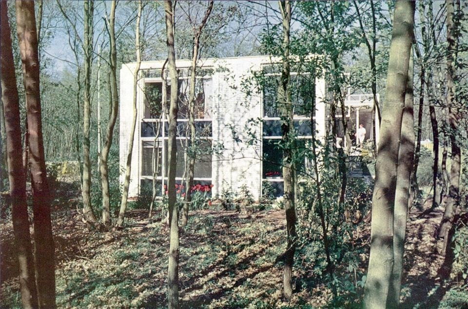 The house surrounded by green (west elevation).