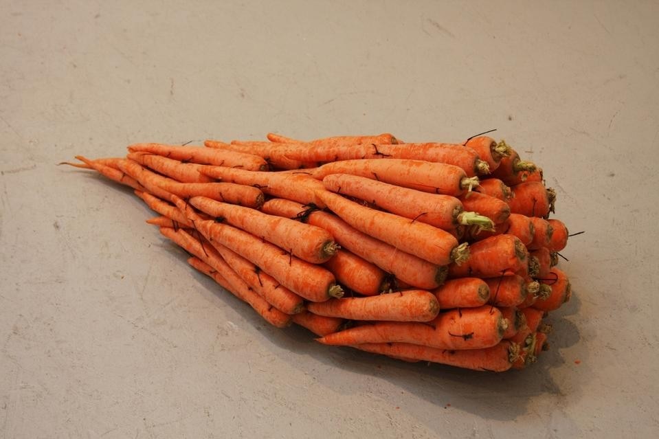 Larry Miller, <i>Carrot Piece</i>, 1970 (2010). Fresh carrots. 63.5 x 38.1 cm. Courtesy David Zwirner, New York