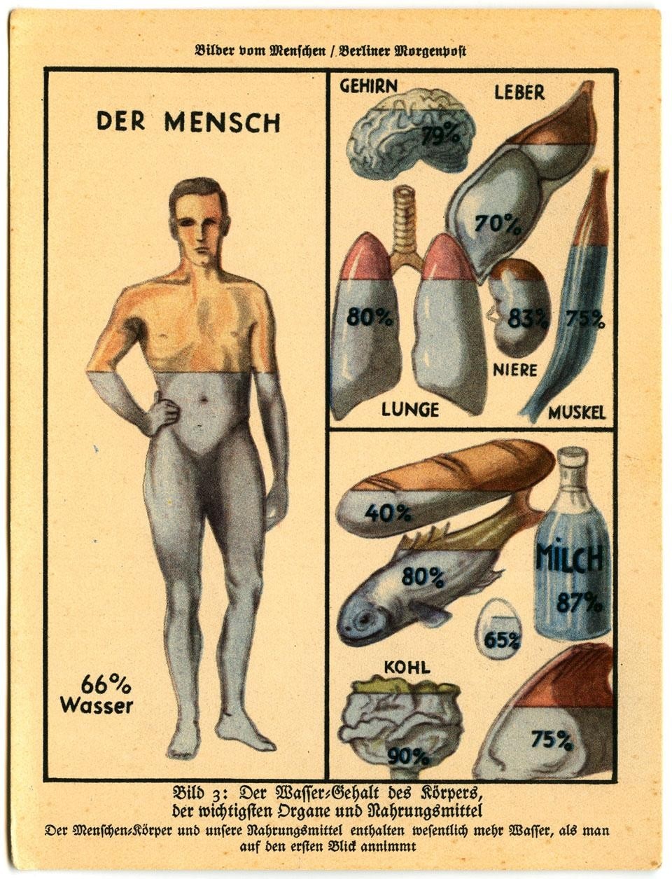 <em>Der Wasser</em>,
from <em>Bilder vom Menschen</em>
(1931), originally published
in the <em>Berliner Morgenpost</em>