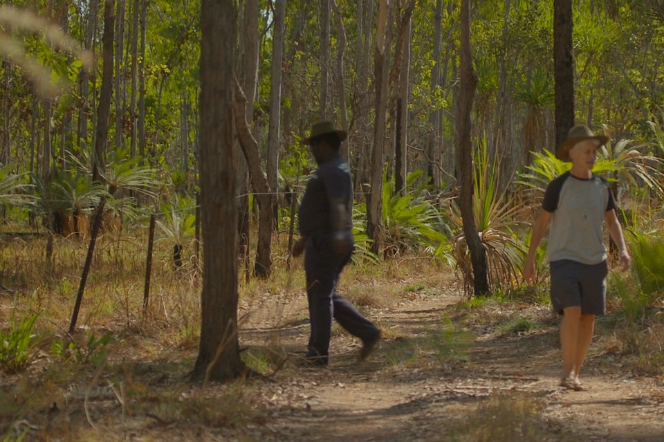 The Karrabing Film Collective, When Dogs Talked