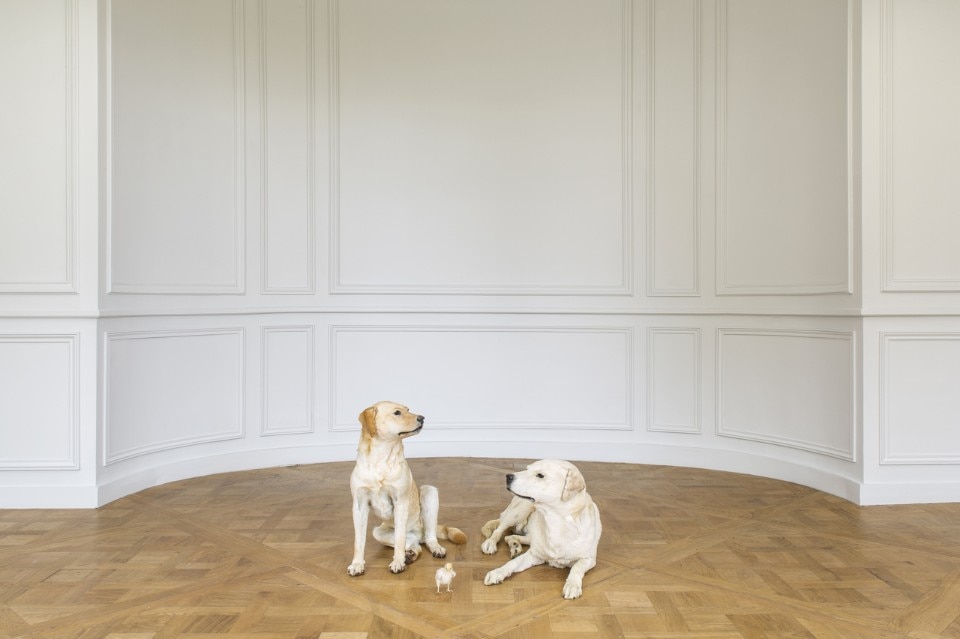 Maurizio Cattelan, Not Afraid of Love. <i>Untitled</i>, 2007