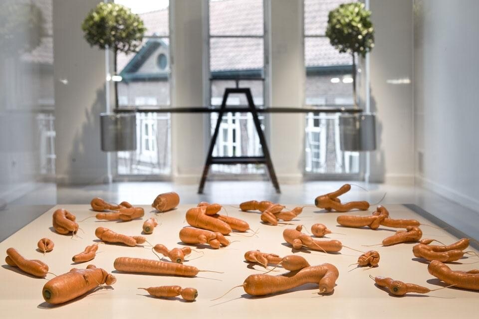 Driessens & Verstappen, Morphotheque #9 & TreeBalance (1997-2001). Opening photo Hans Op de Beeck, SecretGarden(2003-8), a silent and poetic, but also rather absurd representation of a city garden. 