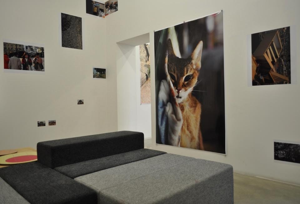At the centre of the room, the Halfway sofa by Teruhiro Yanagihara, on the walls the photos taken by Shin Suzuki.