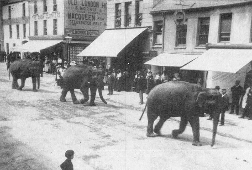 Historical Carmarthen Shopfronts