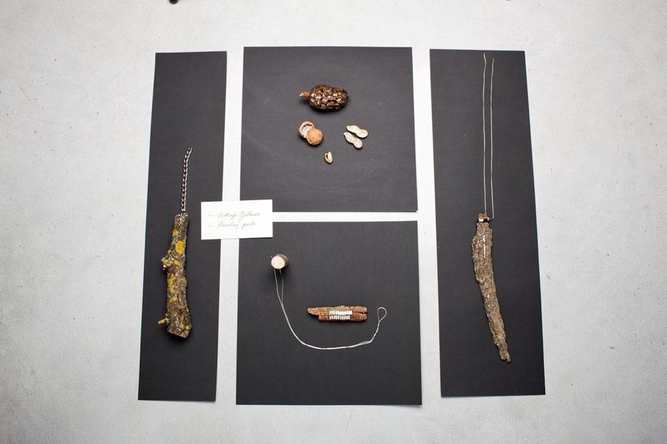 Top and above: Guillame Dollinger, <em>Harvesting jewels</em>. Photo Alberto Ferretto