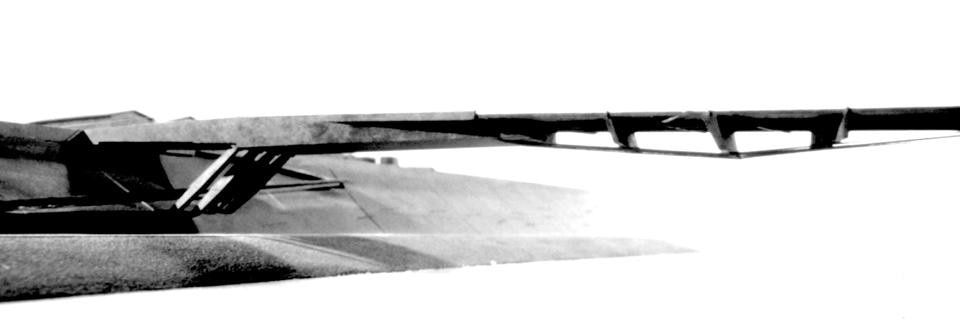 APsT Architettura, Scienza bridge, Rome