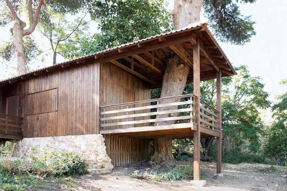 Pines' shade protects the wooden exterior facades from the sun