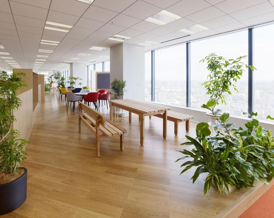 Torafu Architects, <em>Mediba Creative Farm</em>  office spaces in Shibuya, Japan