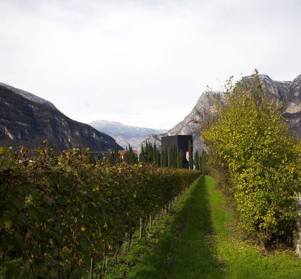 Weber + Winterle, Nardelli Sport, Mezzolombardo (Trento), Italy 2012
