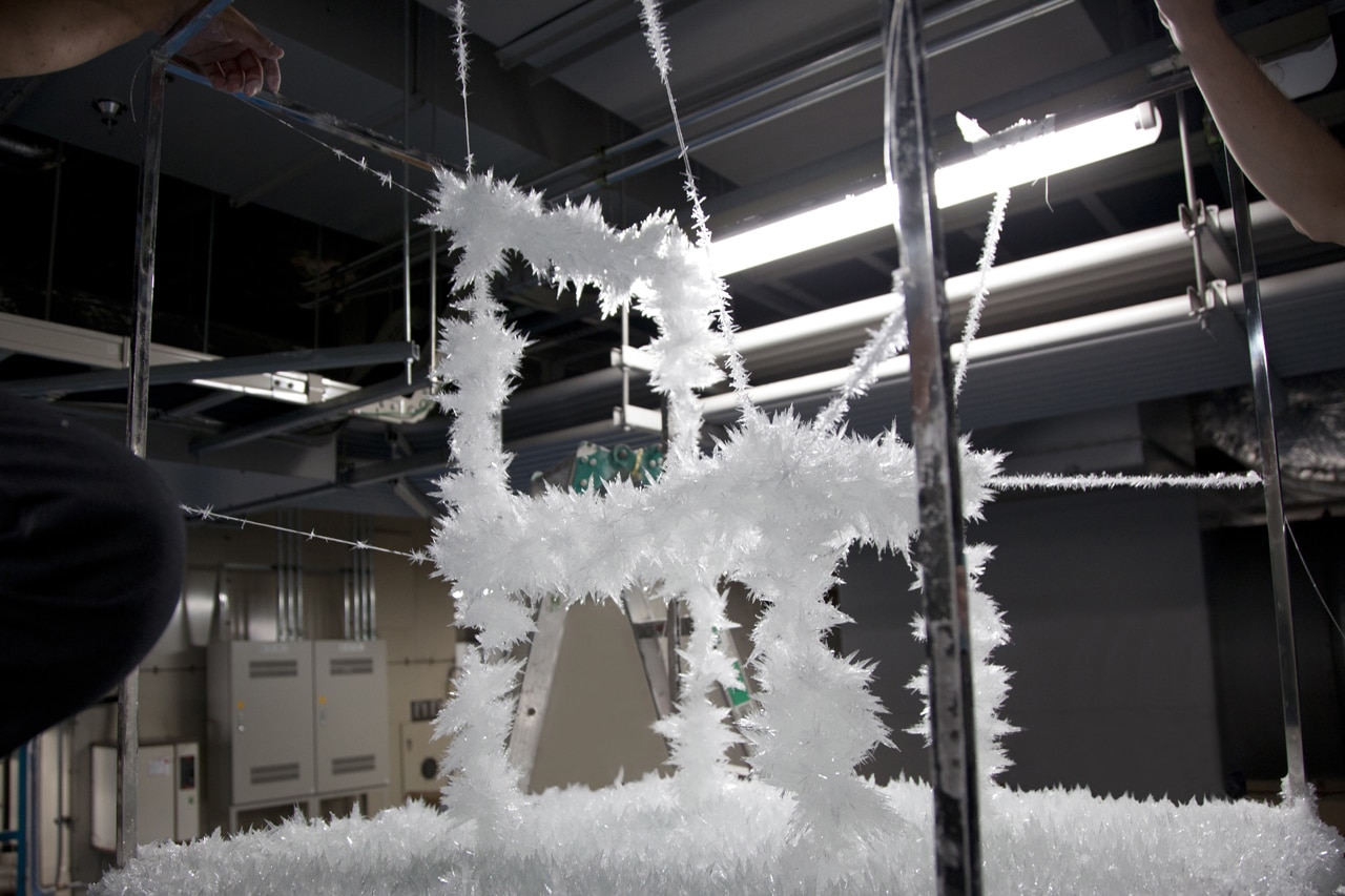 Tokujin: Spider’s Thread - Domus