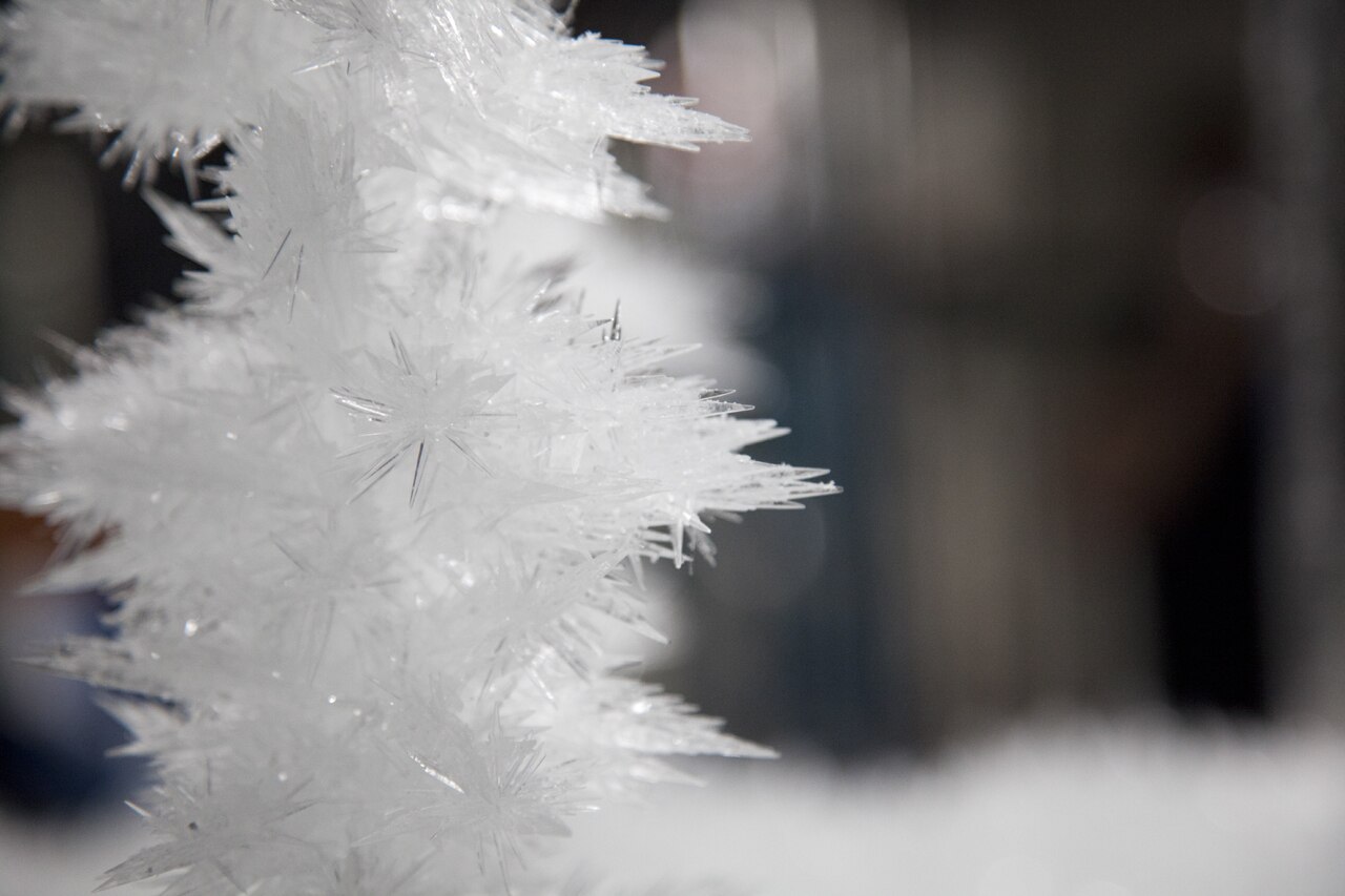 Tokujin: Spider’s Thread - Domus