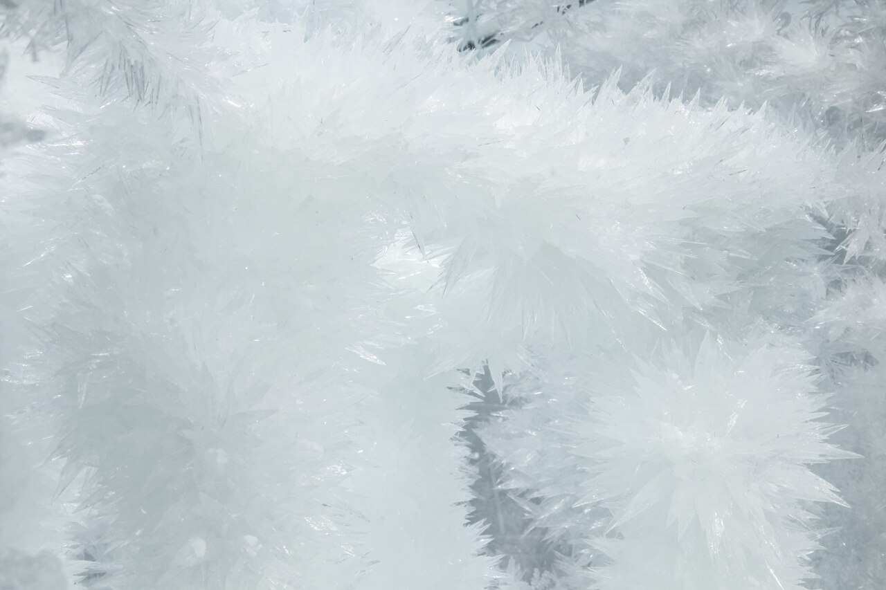 Tokujin: Spider’s Thread - Domus