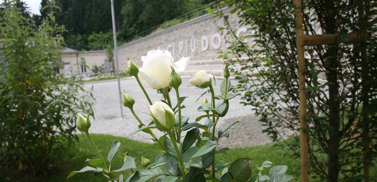 Maloberti_Zegna_cover