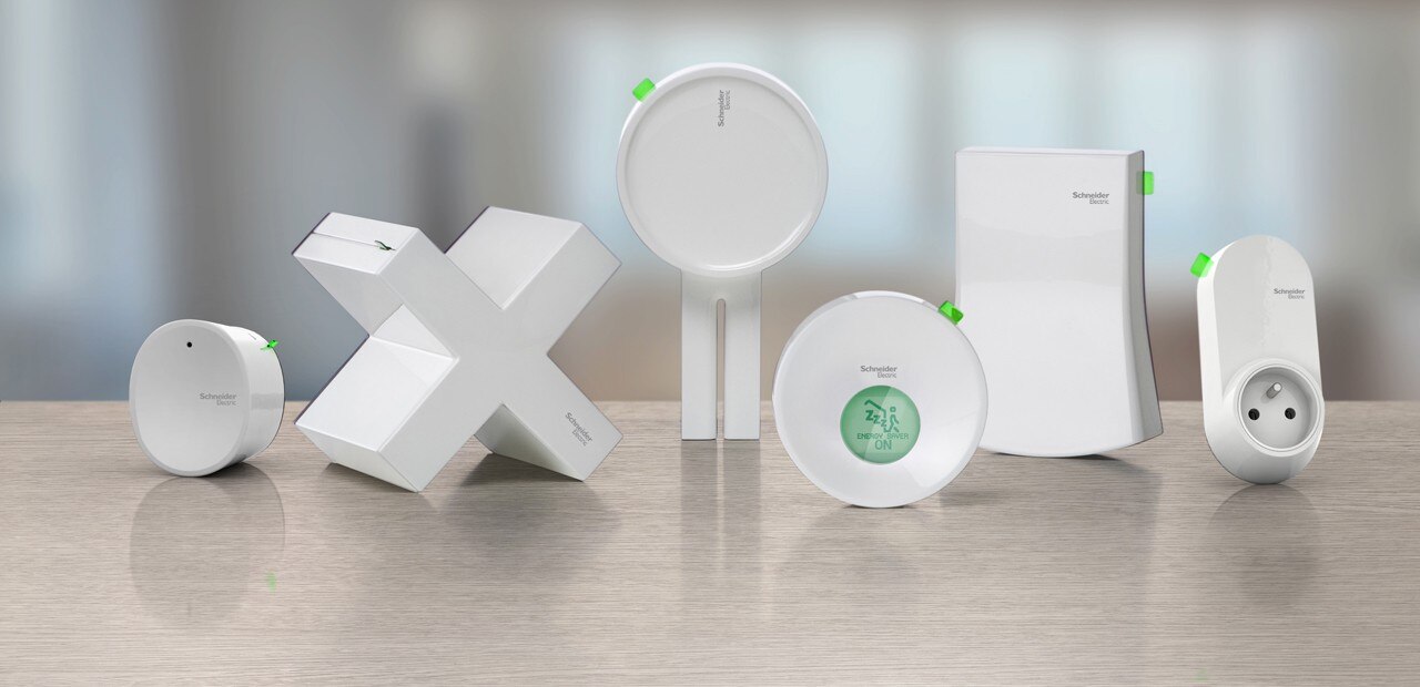 Mathieu Lehanneur: Wiser