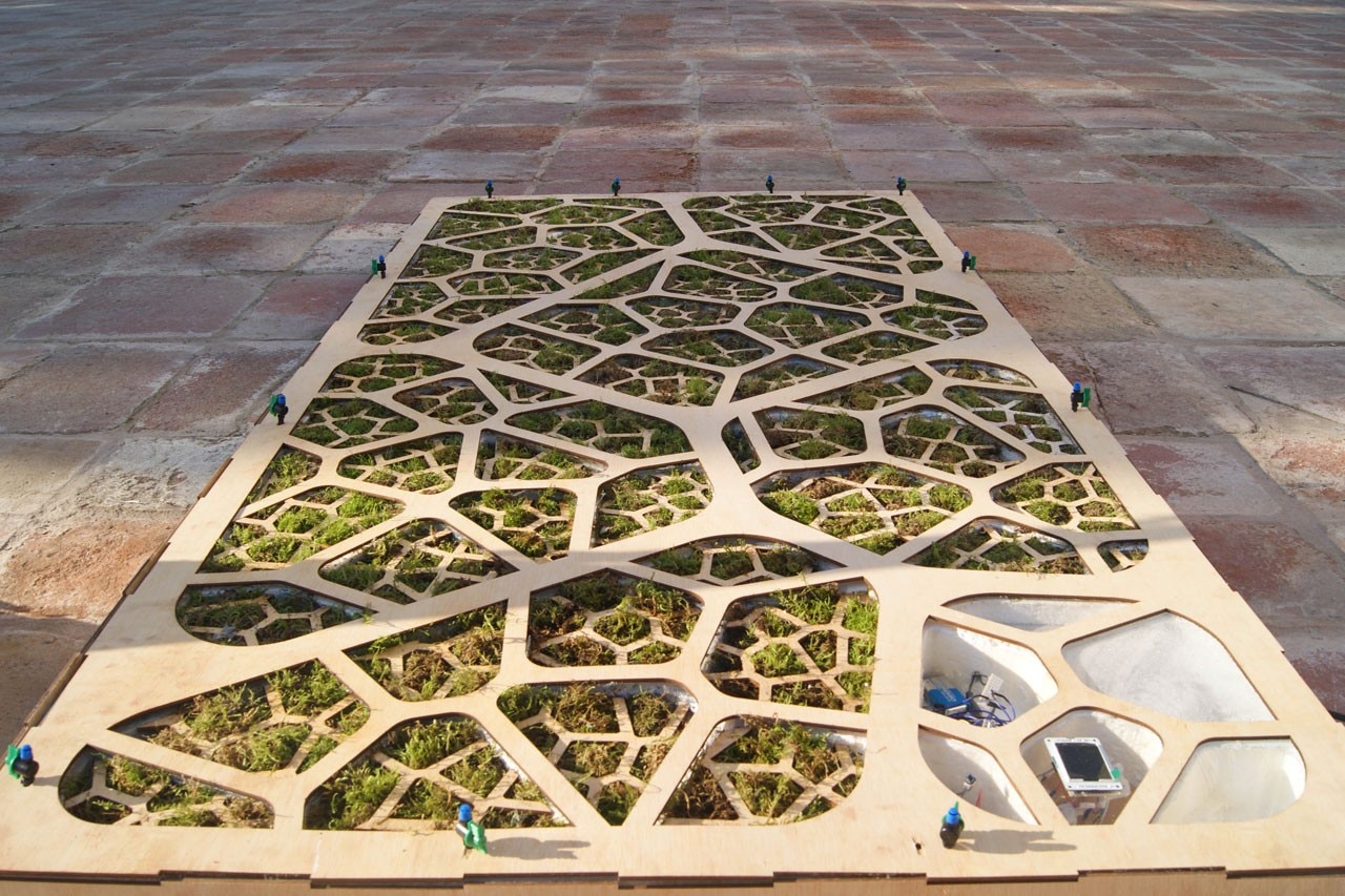 Bio-Photovoltaic panel Bio-Photovoltaic panel