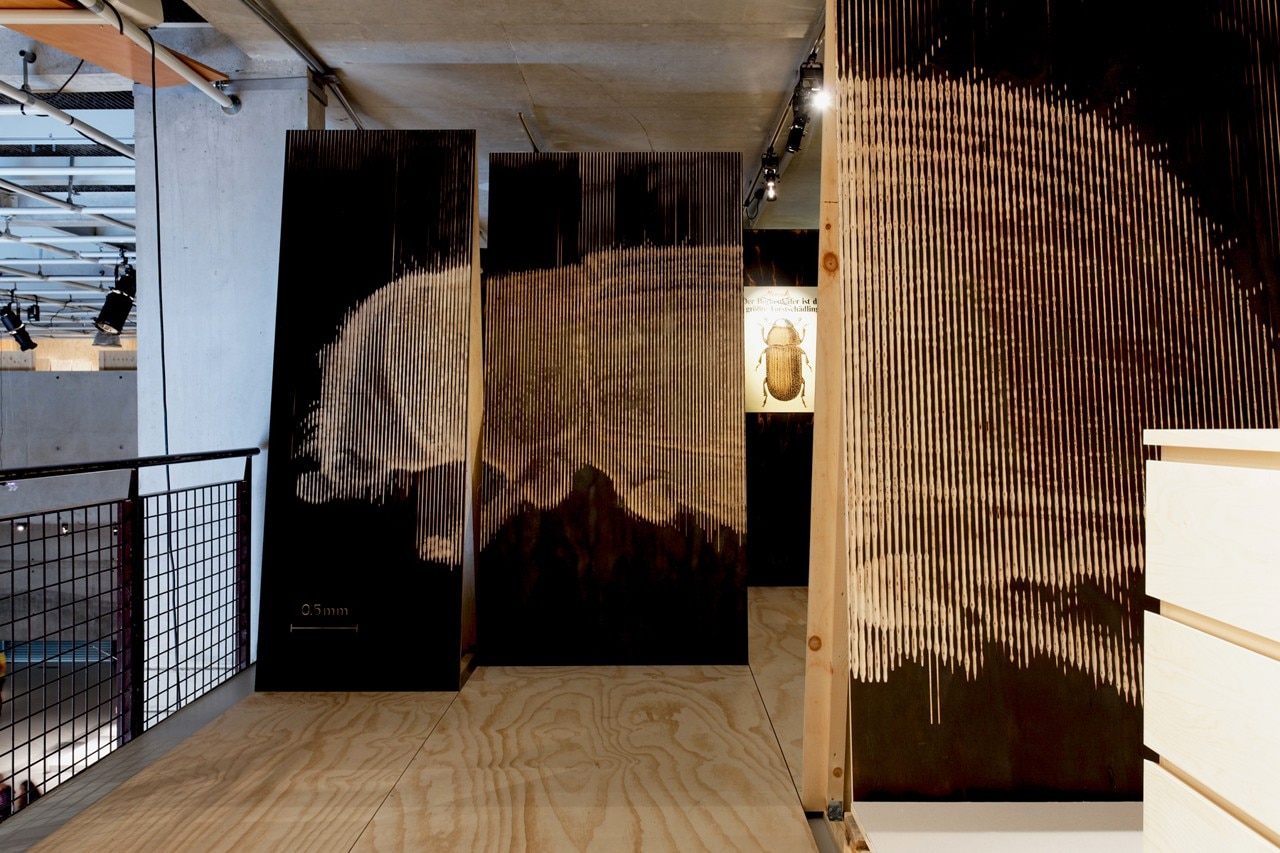 “Wood: the cyclical nature of materials, sites, and ideas”, Het Nieuwe Instituut, Rotterdam
