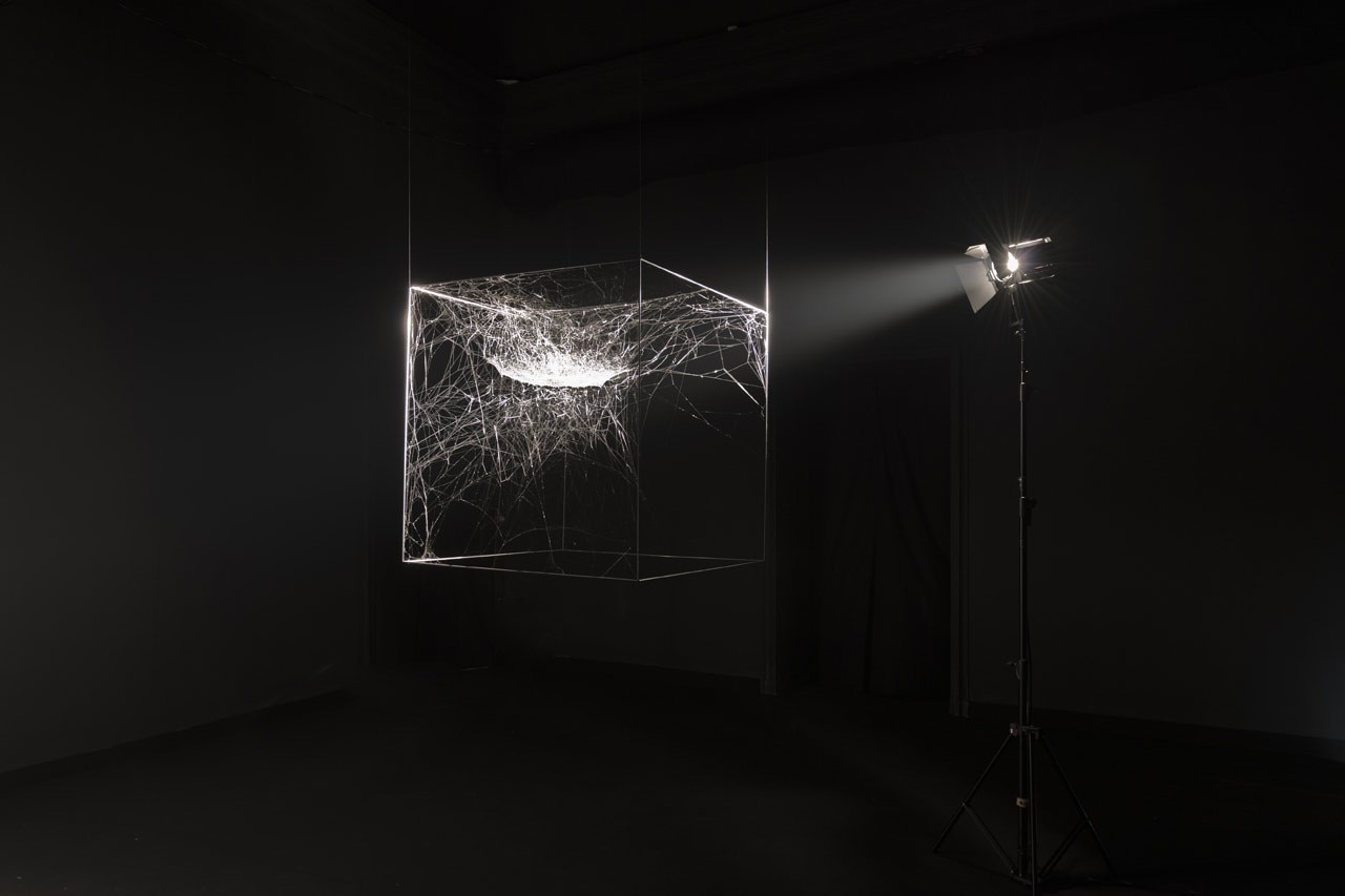 “Cosmic Jive: Tomás Saraceno. The Spider Sessions”