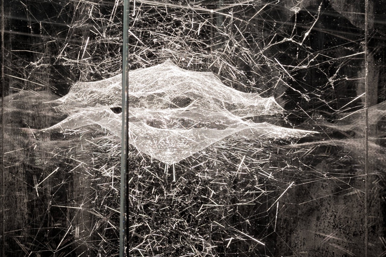 “Cosmic Jive: Tomás Saraceno. The Spider Sessions”, photo Nuvola Ravera Courtesy Studio Saraceno