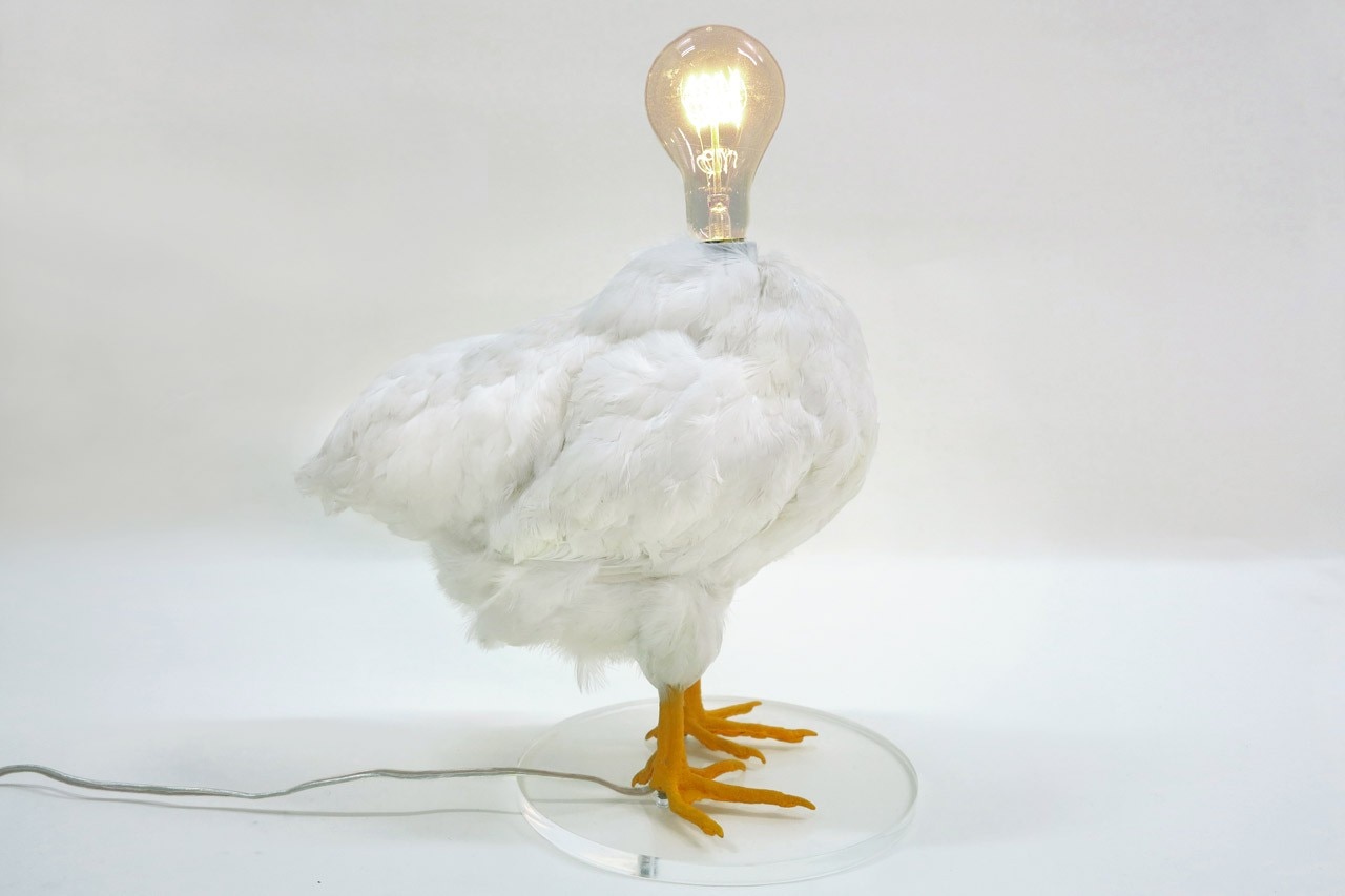 The Chicken Lamp