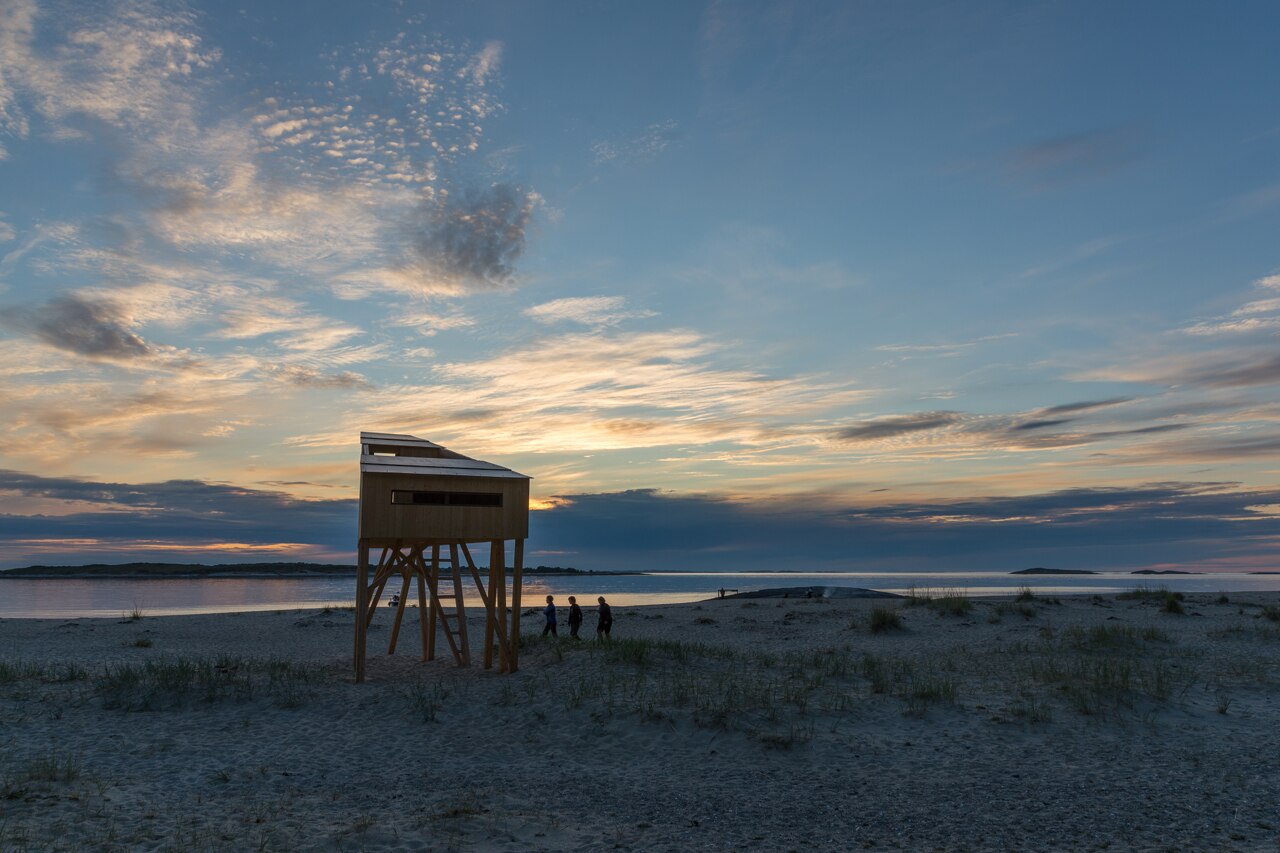 Salt: Fish rack - Domus