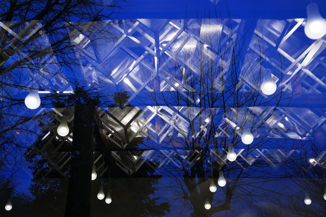 Forest of Light and Lattice Forest of Light and Lattice