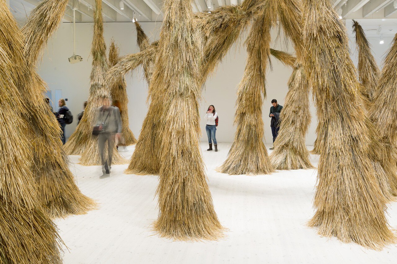 Campanas: Woods, Bildmuseet