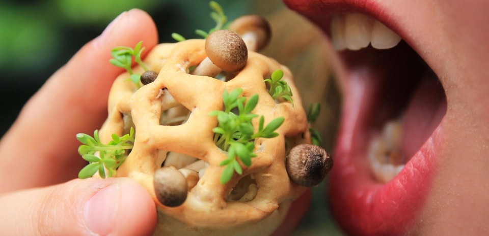 Chloé Rutzerveld, Edible Growth