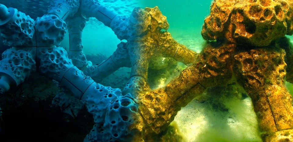 Alex Goad, Modular Artificial Reef Structure (MARS) 