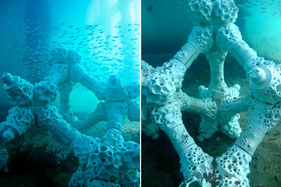 Alex Goad, Modular Artificial Reef Structure (MARS) Alex Goad, Modular Artificial Reef Structure (MARS)