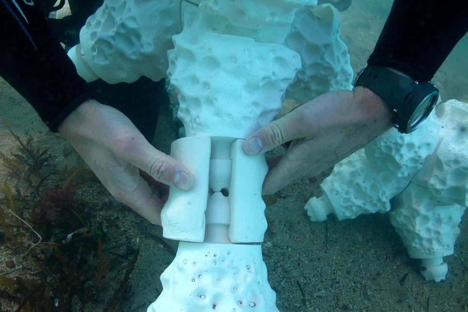 Alex Goad, Modular Artificial Reef Structure (MARS) Alex Goad, Modular Artificial Reef Structure (MARS)