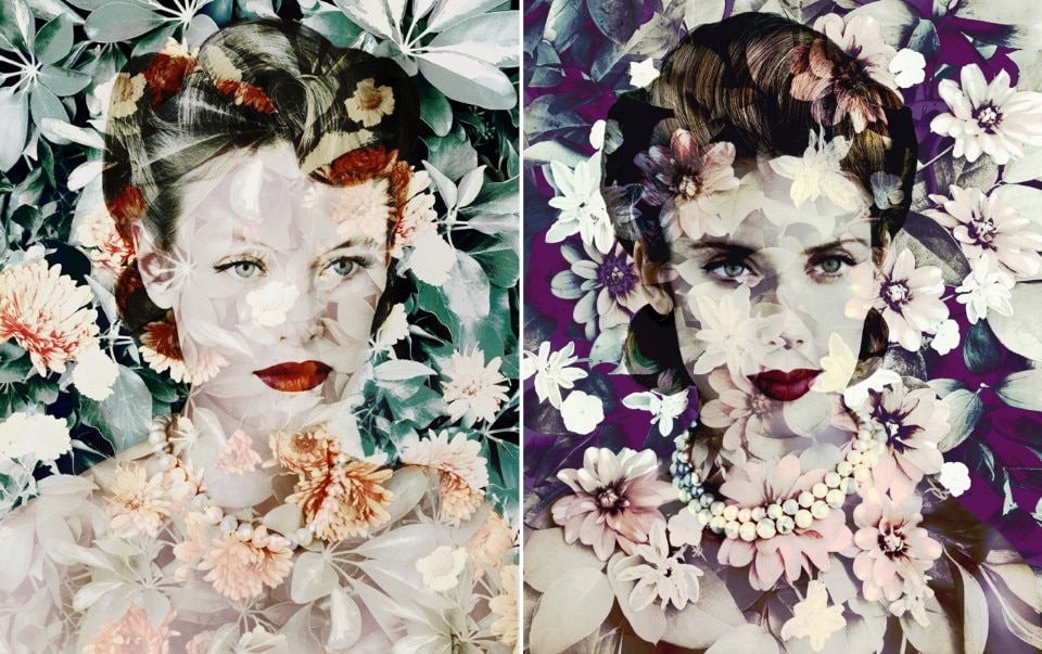 <b>Above, right</b>: Valerie Belin, <i>Calendula (Marigold)</i>, © Valérie Belin. Courtesy Jérôme de Noirmont, Paris. <b>Left</b>: Valerie Belin, <i>Phlox New Hybrid (with Dahlia Redskin)</i>, © Valérie Belin. Courtesy Jérôme de Noirmont, Paris