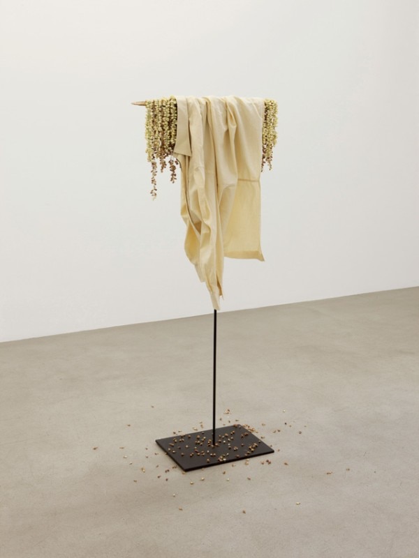 Latifah Echakhch, <i>Fantôme (Jasmin)</i>, © Latifa Echakhch. Photo. Fabrice Seixas Courtesy the artist and kamel mennour, Paris