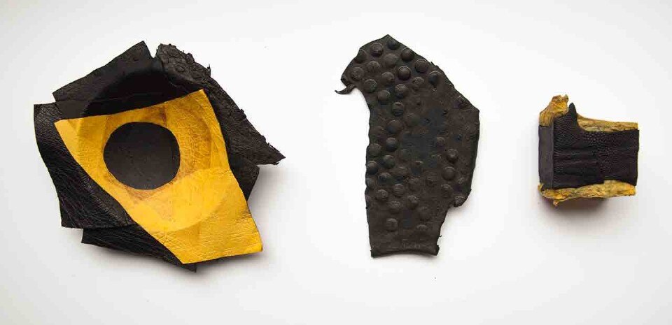 Iva Dinulovic, Samples