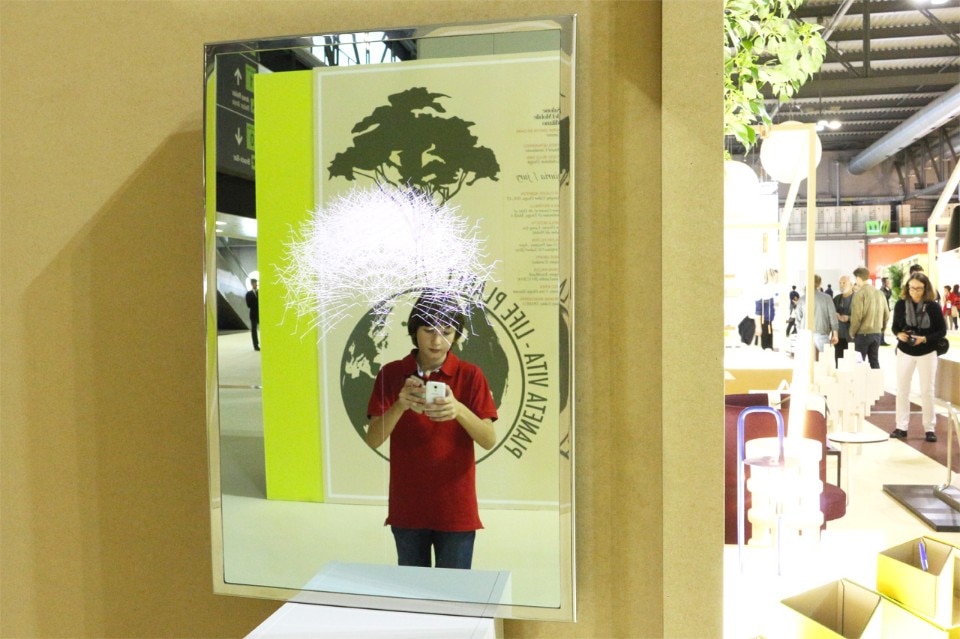 Scottie Huang, Dandelion