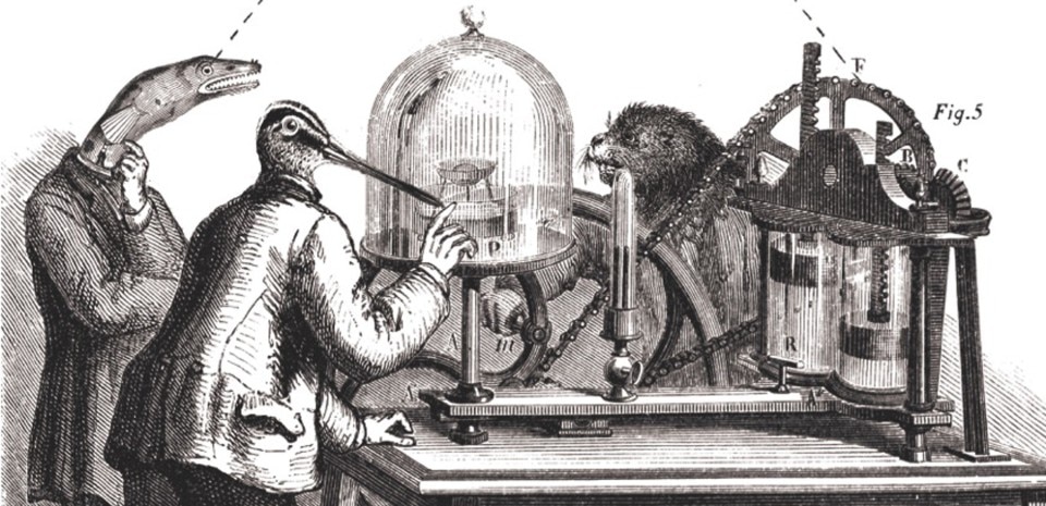 The Italian Alchemy, illustrazione di Matteo Morelli