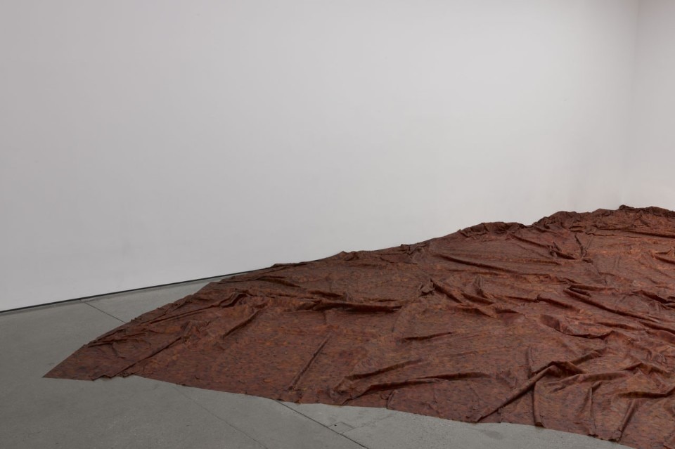 Doris Salcedo, <i>A Flor de Piel</i>,(detail), 2013. Rose petals and thread, 340 x 500 cm. Photo: Joerg Lohse. Courtesy Alexander and Bonin, New York 