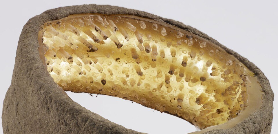 Nacho Carbonell, Luciferase