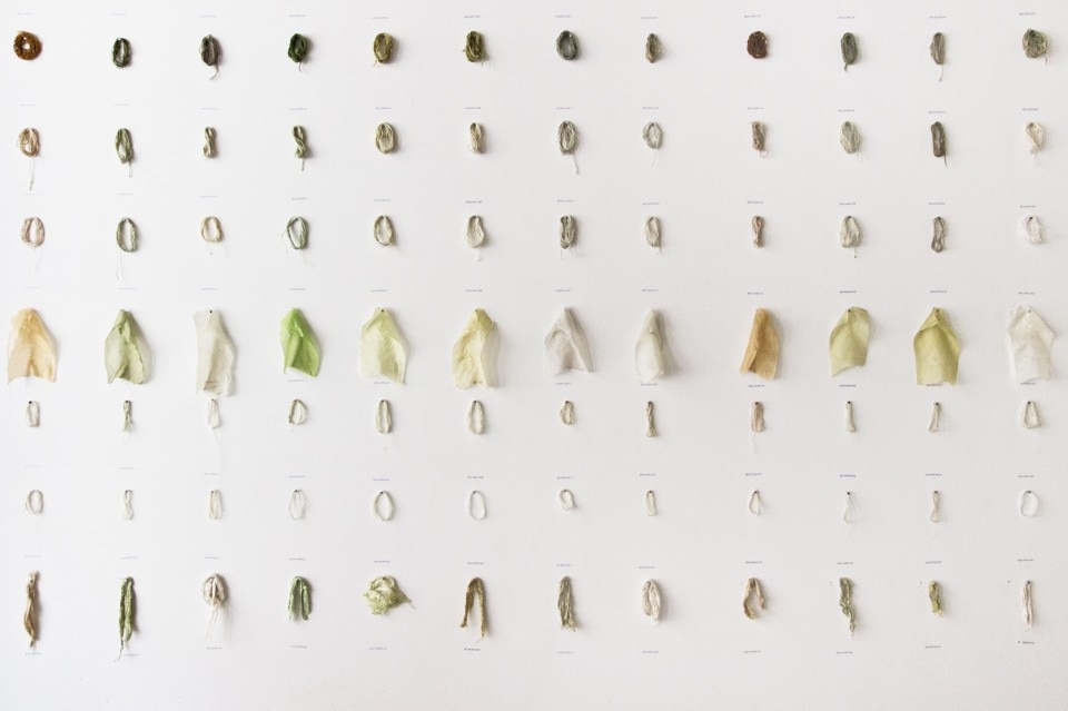 Nienke and Xandra van der Eijk, Natural Seaweed Dye Nienke and Xandra van der Eijk, Natural Seaweed Dye