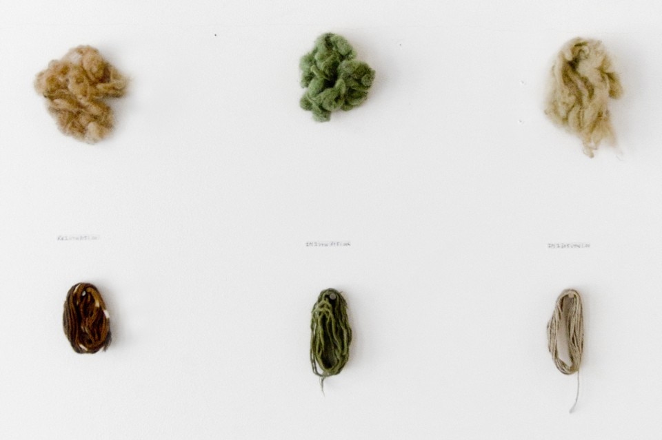 Nienke and Xandra van der Eijk, Natural Seaweed Dye Nienke and Xandra van der Eijk, Natural Seaweed Dye