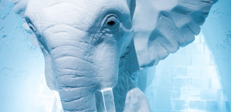 AnnaSofia Mååg, Elephant in the Room, Icehotel #26 