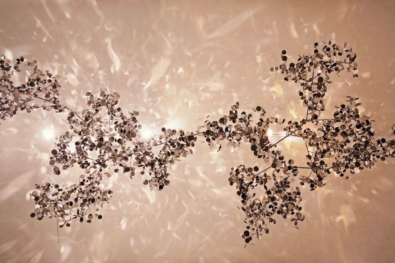 Studio Roso: Mirror Branch - Domus