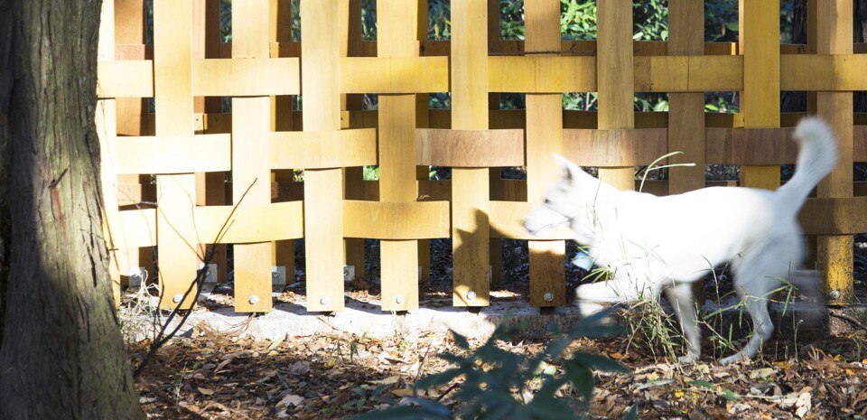 TANK, A dog run, Tokyo