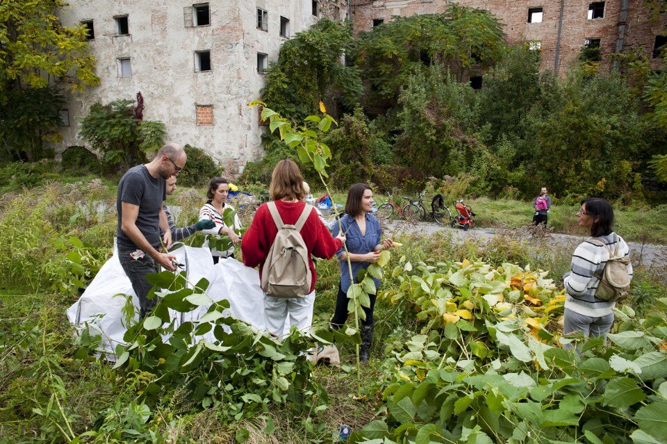 Re-generacija collective, Friendly enemy. Urban Harvest. Photo Nataša Košmerl