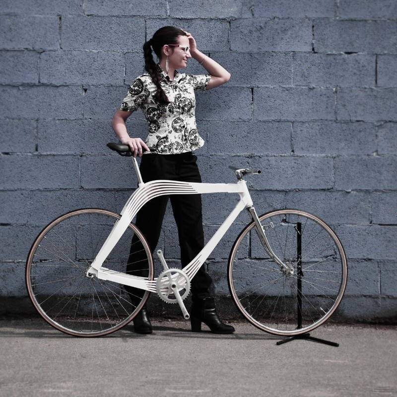 Atanas Zhelev, Mariya Korolova and Martino Hut, Aero bicycle