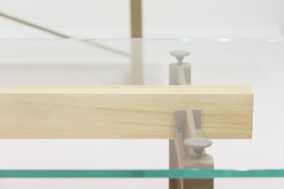 Ghisa formato domestico