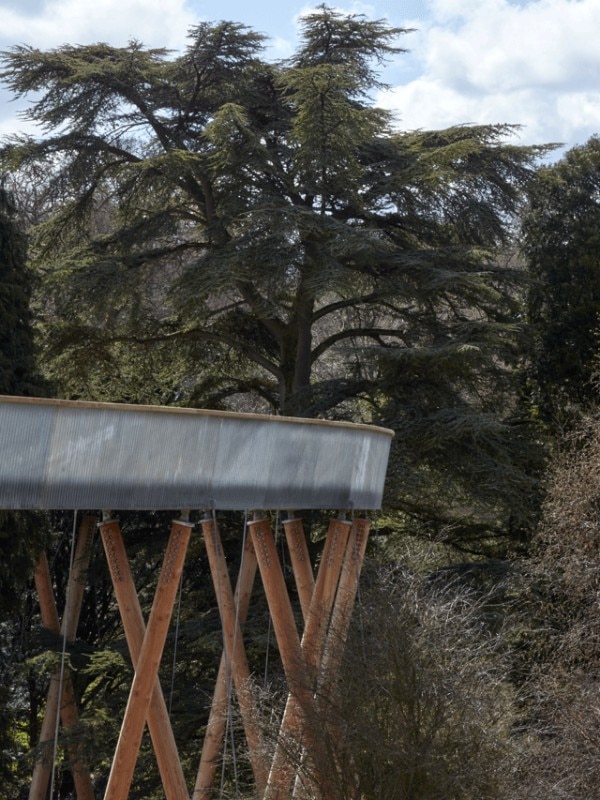 Glenn Howells Architects, STIHL Treetop Walkway