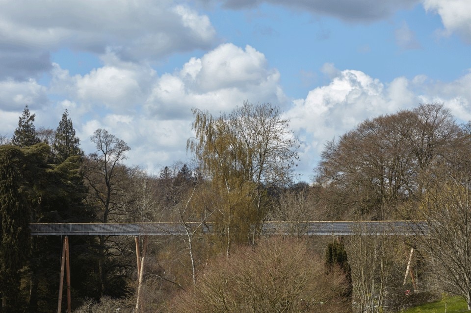 Glenn Howells Architects, STIHL Treetop Walkway